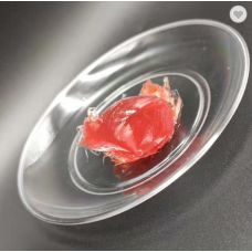 High quality multipurpose red grease